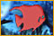 Blue Reef Sudoku